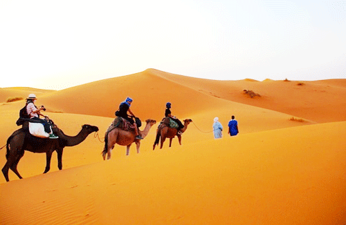 Desert tour from M'hamid to Erg Lihoudi
